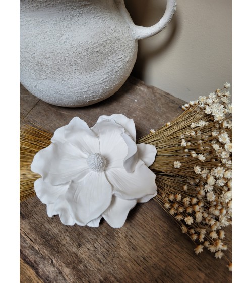 belle fleur d'Hibiscus pafumée