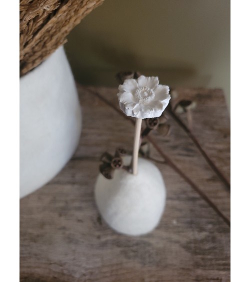 Bâtonnet diffuseur  Petite...