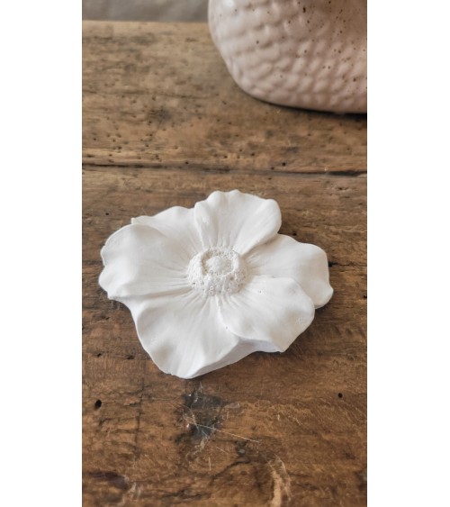 Fleur d'Anémone parfumée