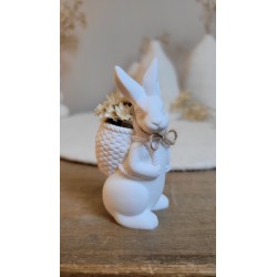 lapinou et son panier